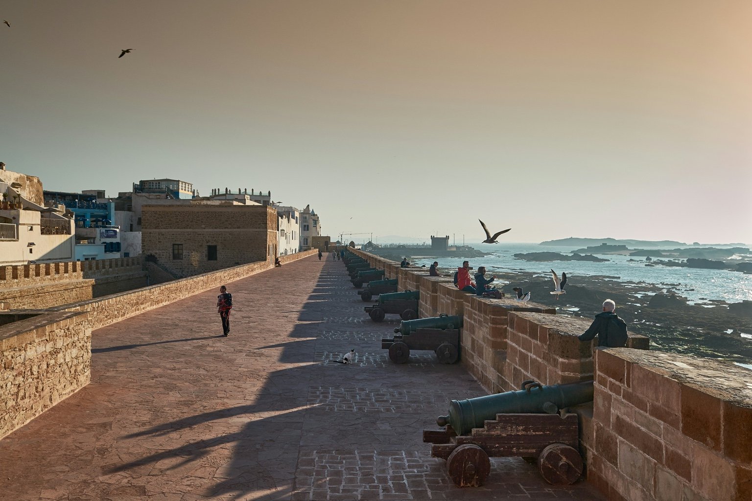 Excursión de un día a Essaouira desde Marrakech